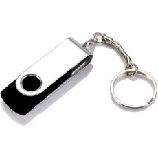 USB Flash Drive 4GB 10 Pack USB 2.0 Thumb Drive Jump Drive Bulk Memory Sticks Zip Drives Swivel Keychain Design 10 Piece-B07WTPJP77, Black 3.0128GB