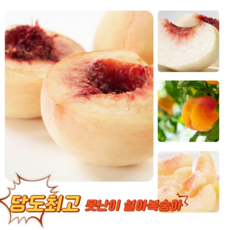[굿피플] 황금당도 못난이 겨울복숭아 설아복숭아 복숭아, 1박스, 못난이 설아복숭아 1.6kg (5~8구)