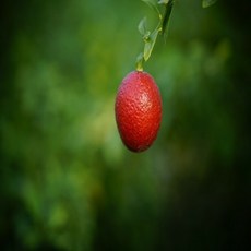 00b478d0d4959b60318fd0a3e4ff171cf469ea6bacbd7ab003aeed50a707.jpg