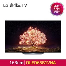 LG 올레드 OLED TV OLED65B1VNA 163cm 65형, 스탠드형