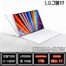 LG그램17 17ZD90Q-EX76K 인텔 i7 사무용 업무용 대학생 노트북, WIN11 Home, 16GB, 1TB, 화이트