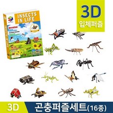 3d곤충만들기