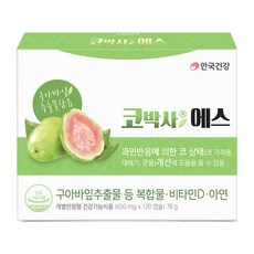 비염치료약