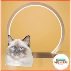 고양이 치아 관리 파우더 치약보다 쉬움 플라크 제거 치간 간식 대체품 박테이스 PET가 포함 청소 나쁜 입냄새 제거제 구강, 고양이 치아 관리 파우더 치약보다 쉬움 플라크 제거 치, 1개