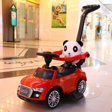 아우디푸쉬카캐노피