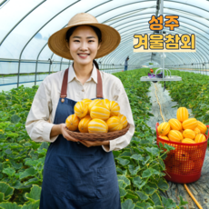 오른농장 성주 산지직송 당도선별 꿀 겨울 참외 3(kg) 5(kg), 1박스, 2kg