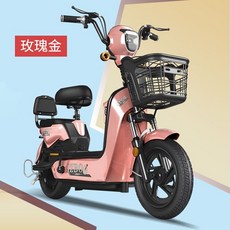 가성비 전동 전기자전거 동일한 자동차 남성과 여성 성인 배터리 자동차 소형 이륜, 48v, 12아, CNPC ChaoweiTianneng 20a 배터