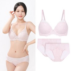 비너스 레이스 더블윙 A B 컵 와이어 몰드 브라 팬티 세트 1+2P