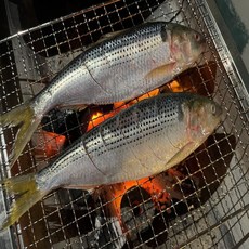 국내산 전어 구이용 자연산 가을전어 1kg 2kg, 전어2kg (10마리), 1개