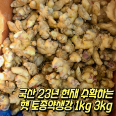 23년 수확 최상급 국산 토종 약생강 손질 흙 햇 생강 1kg 3kg 신선 햇생강 흙생강 특상품 국내산흙생강 햇생강국산 국산생 생강 ginger 진저