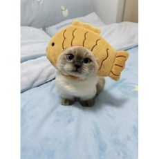 강아지 모자 반려견 애견 썬캡 애견모자 오리모자 반려동물 애완견 자외선 차단 머리 따뜻한 산책, B 붕어빵 (폭 15 높이 7), 1개