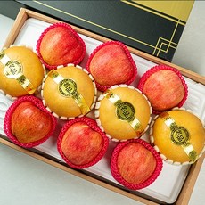 배 TOP01