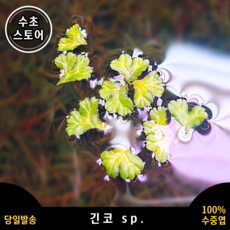 8c69dc02ded25fbc8fd9c1e0294263b041ba333a0c3123c6de8b5c0f6cd0.png