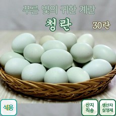 서민갑부자연방사계란대구지역