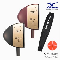 미즈노파크골프채