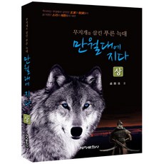 만월대에 지다(상):무지개를 삼킨 푸른 늑대, 세창문화사, 노승기 저