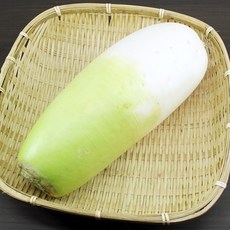 채선