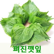 예소담 생깻잎김치, 500G, 1개 - 가격 변동 추적 그래프 - 역대가