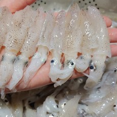 서천 알베기 급냉 꼴뚜기(소) 1kg 국산 참호래기