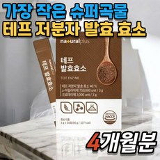플러스 테프 발효효소 차전자피분말 바나바잎 비타민 미네랄 유산균, 4개, 90g