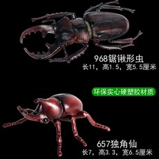 컬렉타사슴벌레