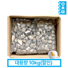 냉동 피바지락 10kg(500gx20팩) 조개 칼국수 바지락술찜 해물