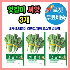 엇갈이 배추 씨앗종자 엇갈이씨, 3개