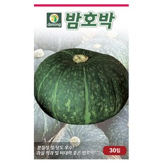 밤호박 단호박 호박 씨앗 다농 30립, 1개