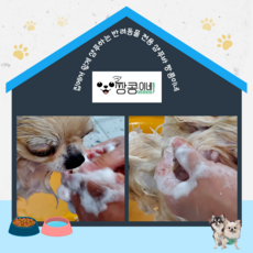강아지 린스 바85g, 85g, 1개