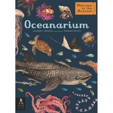 Oceanarium : Welcome to the Museum, Big Picture Press