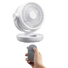 발뮤다배터리&독