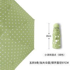 래쉬숲
