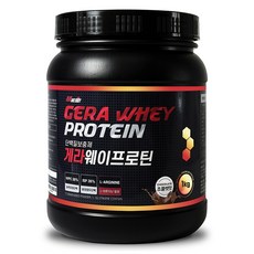 메이크바디 게라웨이프로틴 1000g 단백질 헬스보충제 초코맛 프로틴, 1kg, 1개