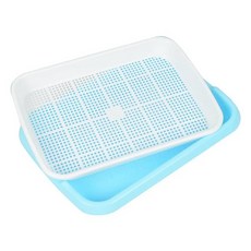 닥터플랜츠