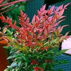 83f377fe7331a7b17bd9b90d1e5ab0c2c552a5bf42cf6fea78dec5947ad4.jpg