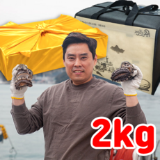 완도산 전복선물세트 왕특대 완도 전복 직거래 선물용, 1세트, 5호 (특대)20-24미 2kg