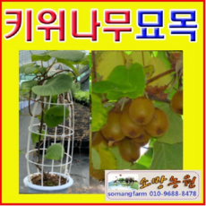 d8027b7563885aef7dc801b0e8c37445a12bc861a2fec43008b99d3824ea.png