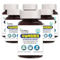 하비웰 우슬복합물정 600mg X 60정, 6개