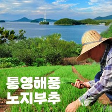남해안 노지 부추 500g 1kg 약부추, 노지부추 500g, 1개