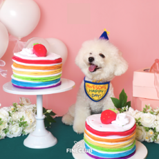 [파인클럽]강아지 케이크 노즈워크 장난감 - 쏘파인케익 스트로베리온더레인보우, 1개