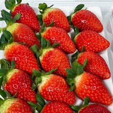 산지직송 제철 최상급 생딸기 설향 딸기 고당도 프리미엄, 1개, 500g