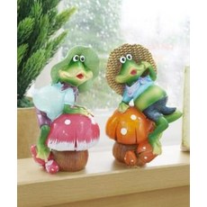 개구리집꾸미기