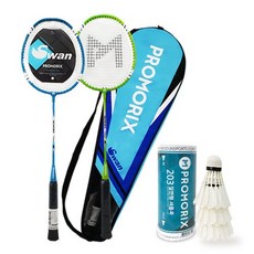 프로앤이글셔틀콕