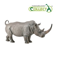컬렉타코뿔소