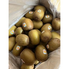 뉴질랜드산골드키위 TOP01