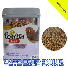 애플스네일먹이