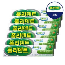 폴리덴트 의치부착재 후레쉬 민트 70g, 6개