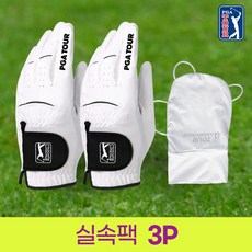 [PGA투어] 맥스 BLACK 프로 남성 골프 양피 장갑 2장+손등토시 1장 실속팩, 선택완료