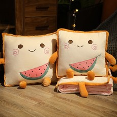 자동차쿠션담요