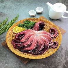 동해대왕문어